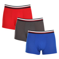 3PACK pánské boxerky Tommy Hilfiger vícebarevné (UM0UM03035 0UG)