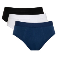 DEFACTO Slip 3 Piece Slip Panties