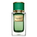 Dolce & Gabbana Velvet Cypress - EDP 50 ml