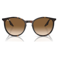 Ray-ban Occhiali da Sole RB2204 902/51 Hnědá