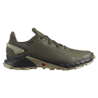 Salomon Alphacross 4 GTX M 46 2/3 EUR