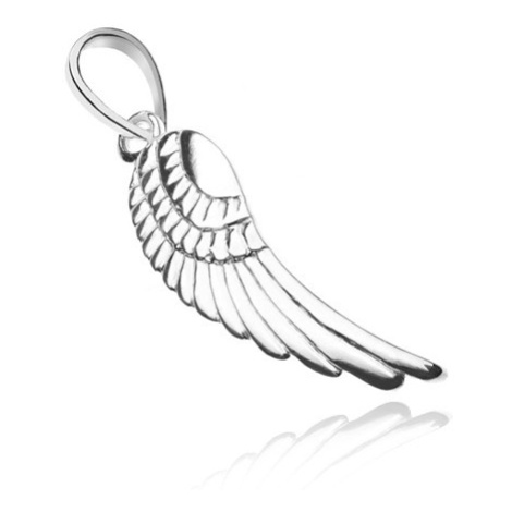 Přívěsek ze stříbra 925 - lesklé křídlo s gravírovanými pírky Šperky eshop