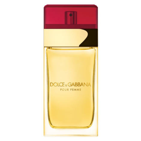 Dolce&Gabbana Pour Femme toaletní voda pro ženy 100 ml Dolce & Gabbana
