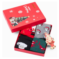 Pánské ponožky X-mas box mix 4-pack EDOTI