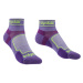 Dámské ponožky Bridgedale Trail Run UL T2 CS Low purple