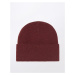 Carhartt WIP American Script Beanie Malbec