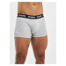 Dangerous DNGRS / Boxer Short Undi in grey