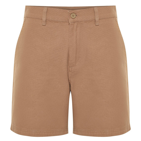 Trendyol Mink Regular Fit Shorts Bermuda