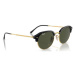 Ray-ban Occhiali da Sole RB4429 601/31 Černá