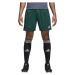 adidas PARMA 16 SHORTS Fotbalové trenky, tmavě zelená, velikost