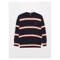 LC Waikiki Crew Neck Long Sleeve Striped Men's Knitwear Sweater