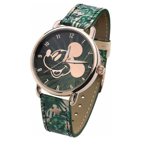 Mickey & Minnie Mouse Micky Náramkové hodinky zelená