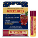 Burt’s Bees Festive Cranberry Spritz hydratační balzám na rty v tyčince 4,25 g