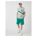 Koton Slim Fit Striped Shorts