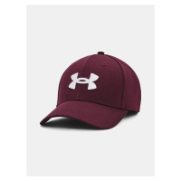 Pánská kšiltovka Under Armour