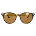 Ray-ban Occhiali da Sole RB4305 710/73 Hnědá