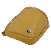 BRIGHT Dámská kožená kapsa Tmavě Žlutá, 4 x 13 x 19 (XBR22-AHU4104-16DOL)