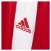 Dětský dres adidas Striped 15 Jersey Červená / Bílá