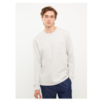 LC Waikiki Crew Neck Long Sleeve Men's Sweatshirt