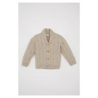 DEFACTO Baby Boy Knitwear Shawl Collar Basic Buttoned Cardigan