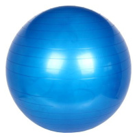 Yoga Ball Modrá 55 cm