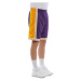 Mitchell & Ness shorts Los Angeles Lakers purple/yellow Swingman Shorts