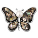 JwL Luxury Pearls Perlová brož 2v1 s pravou bílou perlou a perletí JL0820