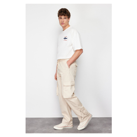 Trendyol Stone Regular Fit Cargo Pocket Trousers