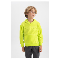 DEFACTO Boy's Hooded Fleece Sweatshirt