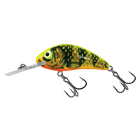 Salmo wobler rattlin hornet floating gold fluo perch-5,5 cm 10,5 g