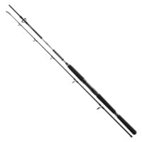 Daiwa Prut BG Offshore Pilk 2,7m 50-165g 2-díl