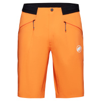 Mammut Aenergy Light SO Shorts Men