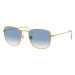 Ray-Ban Frank RB3857 91963F - L (51)