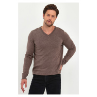 Lafaba Men's Brown V-Neck Basic Knitwear Sweater