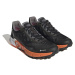 adidas Terrex Agravic Flow 2 Gtx