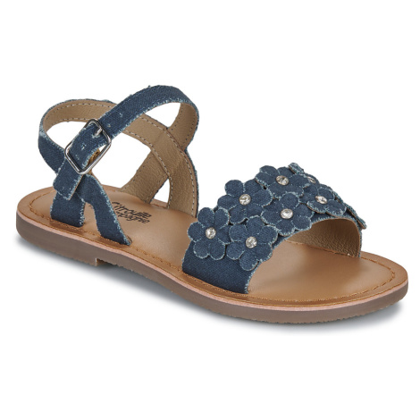 Citrouille et Compagnie FLEURS Modrá