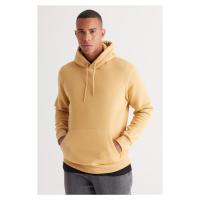 AC&Co / Altınyıldız Classics Men's Mustard Standard Fit Hoodie with Fleece 3 Threads, Kangaroo P