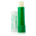 Sylveco Lip Care exfoliační balzám na rty 4,6 g
