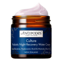 Antipodes Noční pleťový krém Culture (Probiotic Night Recovery Water Cream) 60 ml