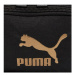 Ledvinka Puma