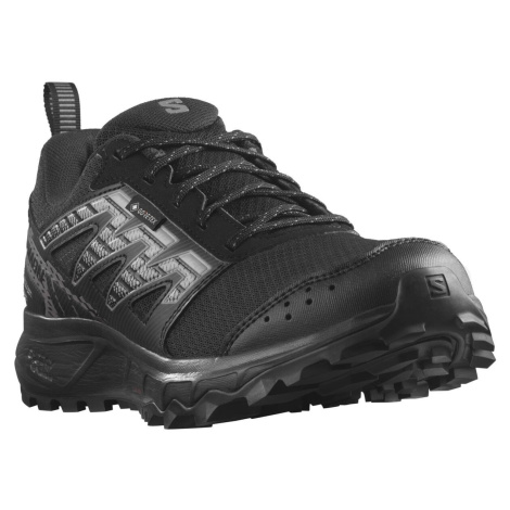 Salomon Wander GTX W L47149500 - black plum kitten gull