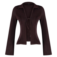 Trendyol Brown Premium Glossy Finish, Soft Textured Polo Neck Knitted Blouse with Lace-up Detail