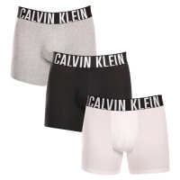 3PACK pánské boxerky Calvin Klein vícebarevné (NB3609A-MP1)