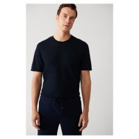 Avva Men's Navy Blue Crew Neck Cotton Regular Fit Fine Knitwear T-shirt