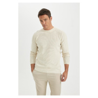 DEFACTO Standard Fit Crew Neck Sweater