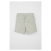 DEFACTO Baby Boy Label Printed Shorts