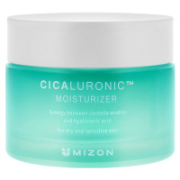 Mizon Hydratační pleťový krém pro suchou a citlivou pleť Cicaluronic (Moisturizer) 50 ml