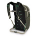 Osprey Daylite Plus 20 green canopy/green creek