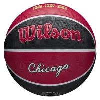 Wilson NBA Team City Edition