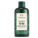 The Body Shop Šampon pro mastné vlasy Tea Tree (Gel Shampoo) 250 ml